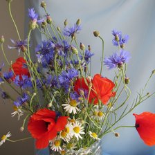 Букет полевых цветов