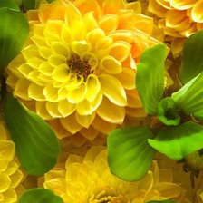 Схема вышивки «№2304707»