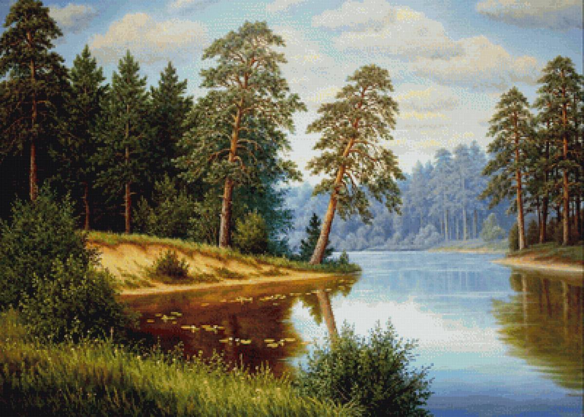 Красота природы - природа, озеро, ели, сосны, роща, лес - предпросмотр