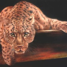 Схема вышивки «№2304729»