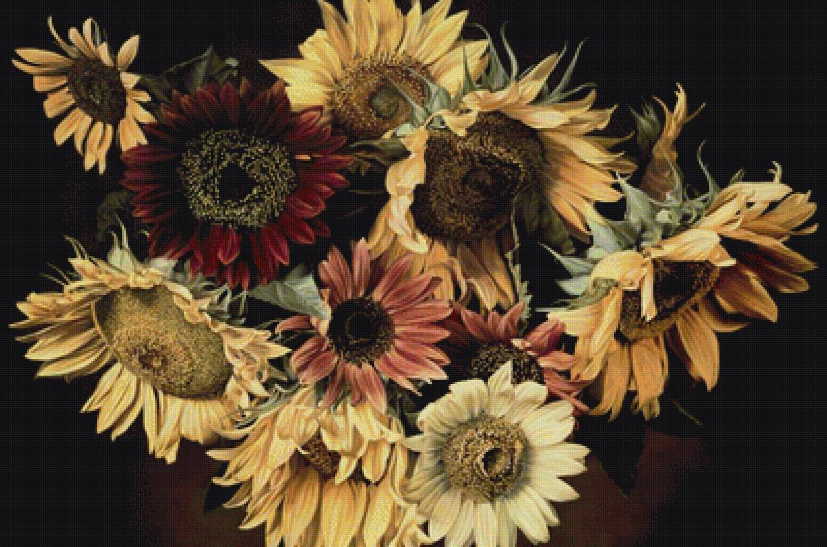 Подсолнухи - подсолнухи, цветы - предпросмотр