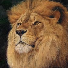 Царь зверей