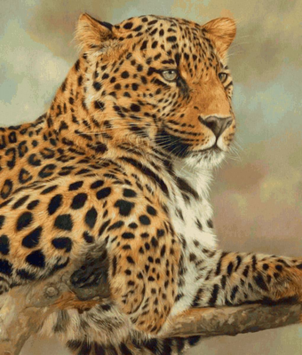 На отдыхе - предпросмотр