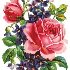 Схема вышивки «Цветы»