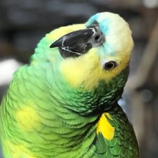 Схема вышивки «Внимательный слушатель»