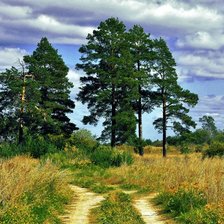 Схема вышивки «пейзаж»