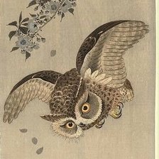 Схема вышивки «сова»