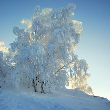 Схема вышивки «Морозный денек»