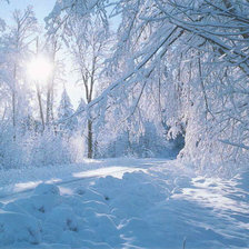 Схема вышивки «зВзимнем лесу»