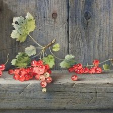 Схема вышивки «Е.Базанова»