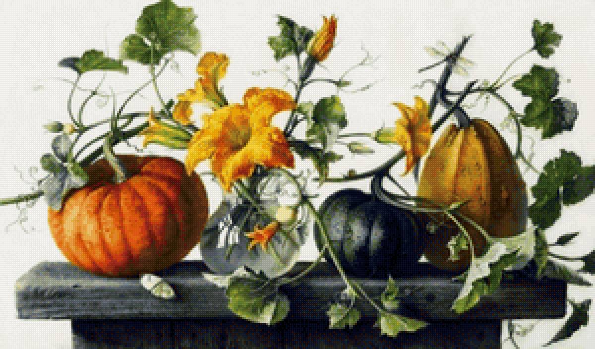 Е.Базанова - тыква, кухня, натюрморт, овощи - предпросмотр