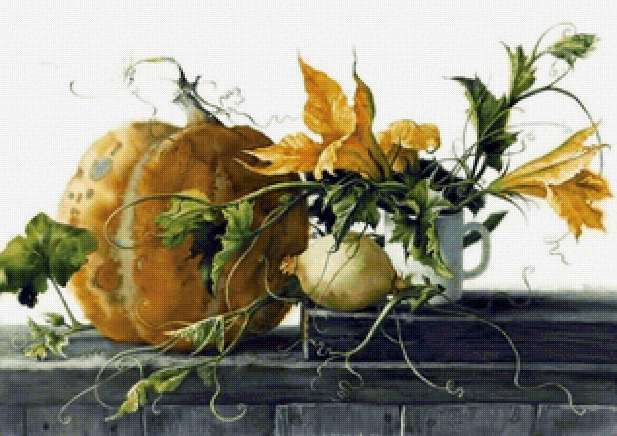 Е.Базанова - овощи, кухня, тыква, натюрморт - предпросмотр