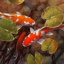 Схема вышивки «Рыбки кои»