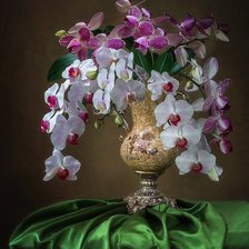 Схема вышивки «№2305379»