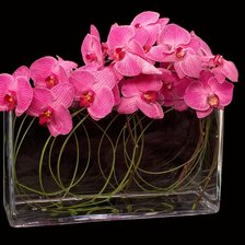 Схема вышивки «№2305382»