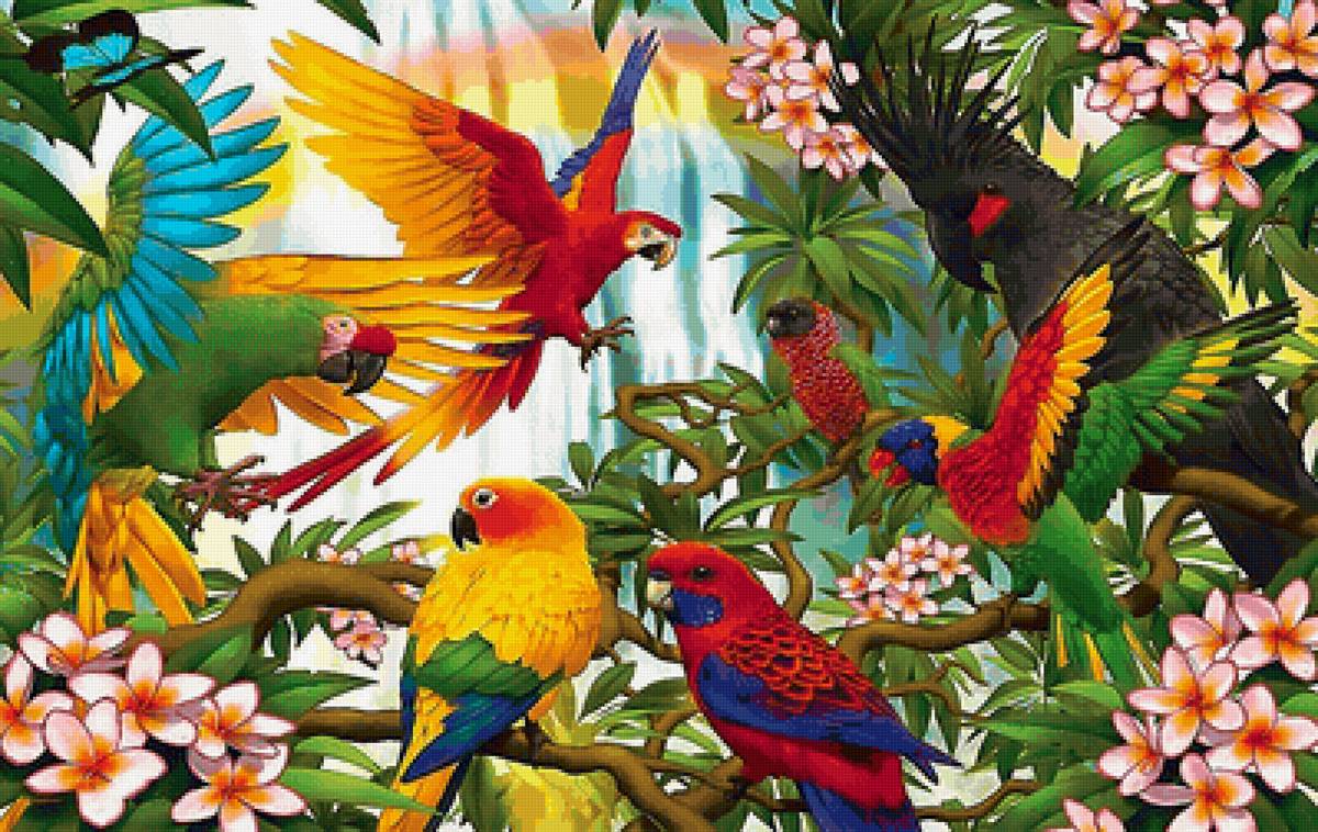 попугаи - попугаи, птицы - предпросмотр