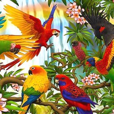 Схема вышивки «попугаи»