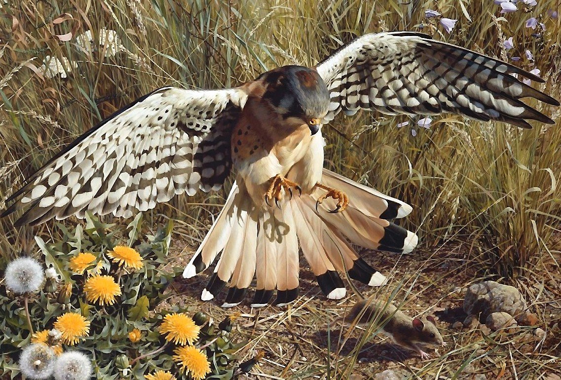 охота - птица, мышь - оригинал