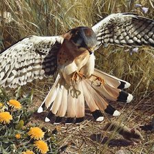 Схема вышивки «охота»