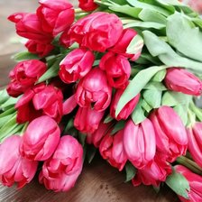 Схема вышивки «Тюльпаны»