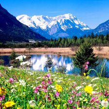 Схема вышивки «разнотравье fальпийского луга»