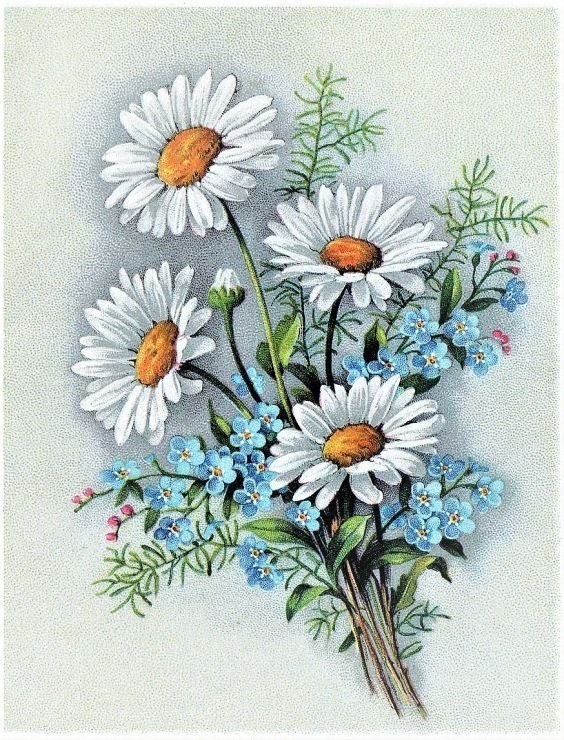 ромашки - букет, ромашки - оригинал