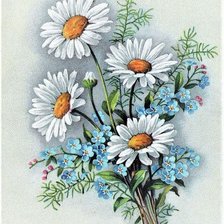 Схема вышивки «ромашки»