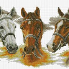 Three Horses