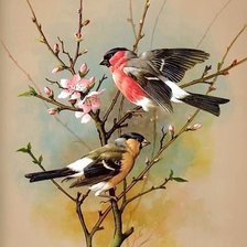 Схема вышивки «Весна»