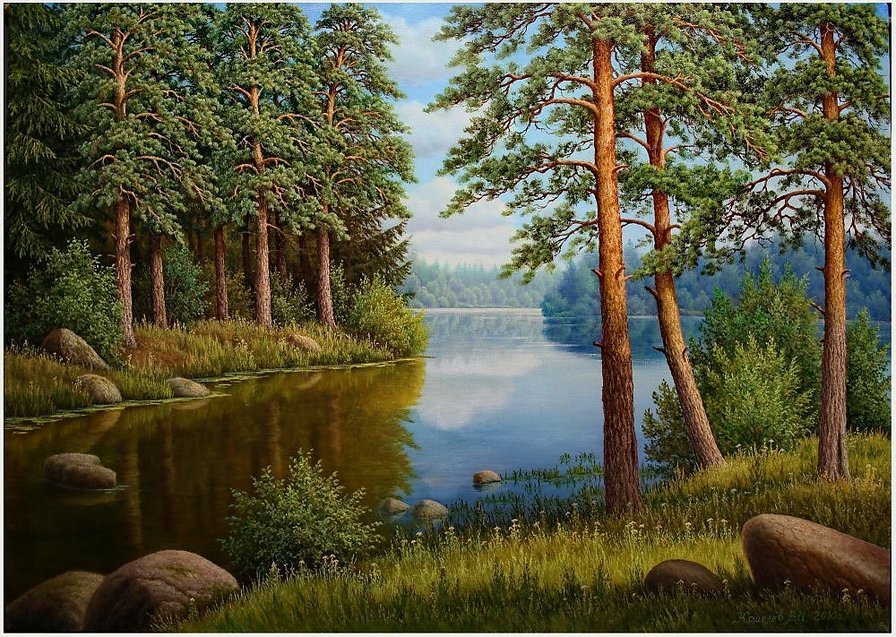 Родной край - сосны, речка, природа, пейзаж, бор - оригинал