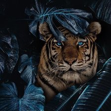 Схема вышивки «№2306701»