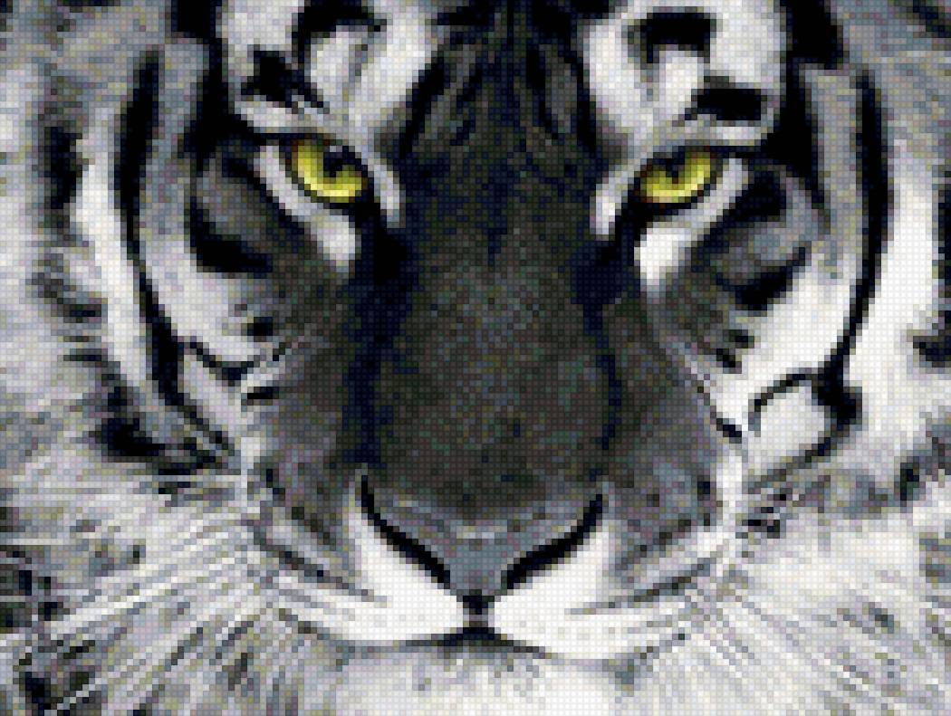 Тигр - тигр - предпросмотр