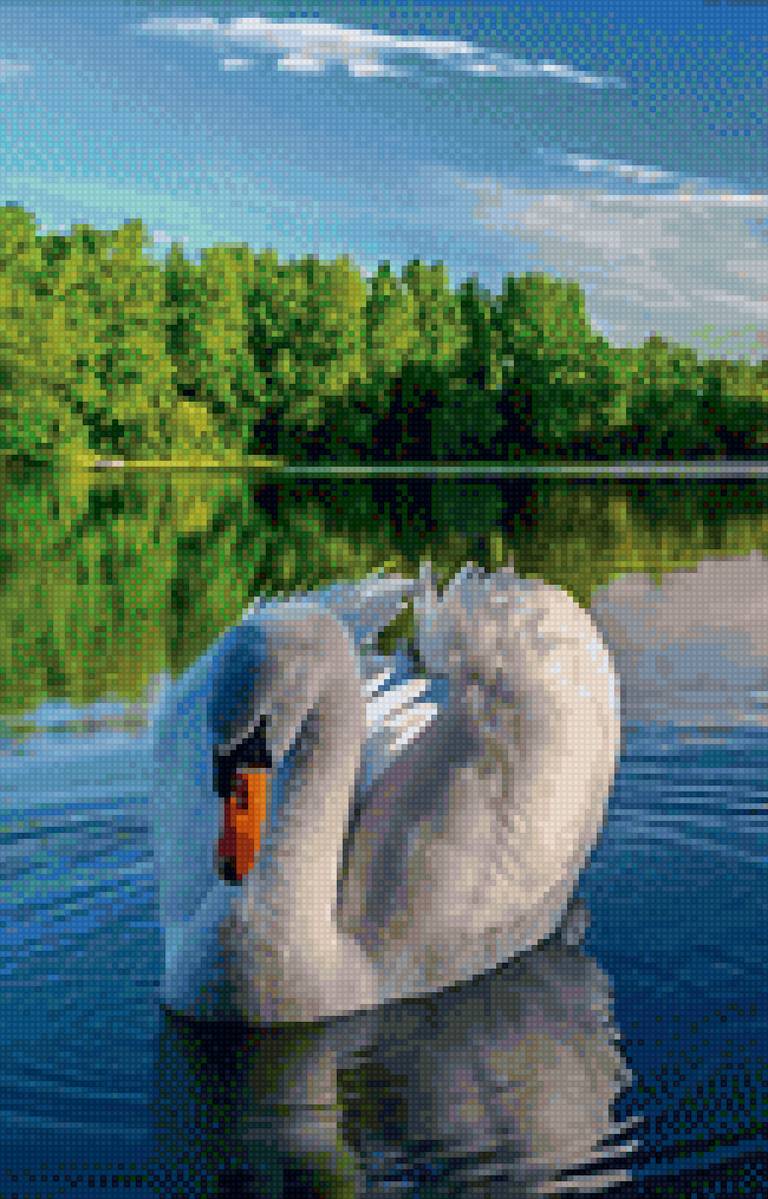 Лебедь - лебедь - предпросмотр