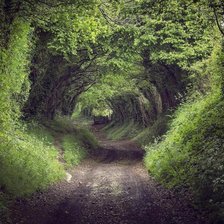 Схема вышивки «Дорога в лесу»