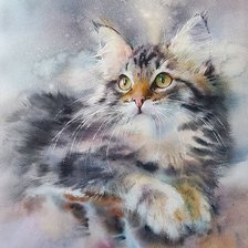 Схема вышивки «kocia piękność»