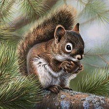 Схема вышивки «Белочка»