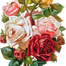 Схема вышивки «Букет роз»