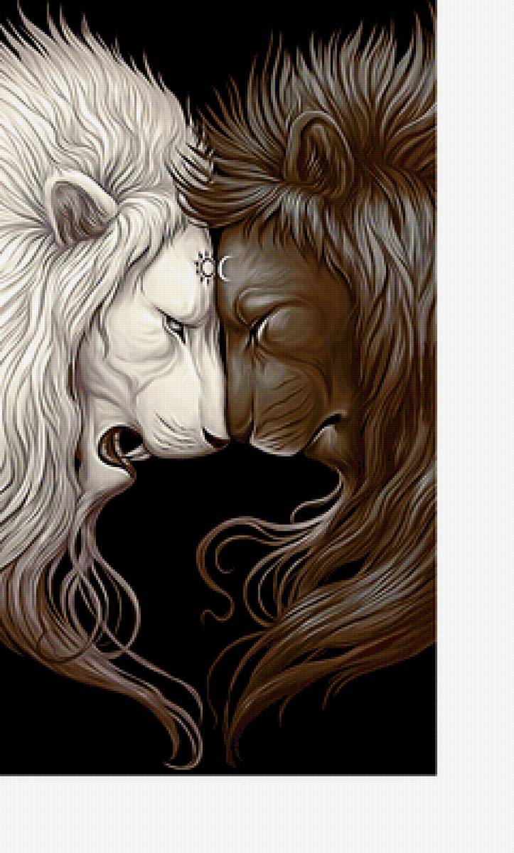 Серия "Хищники". Инь и Янь - животные, хищники, лев - предпросмотр