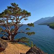 Схема вышивки «№2307590»