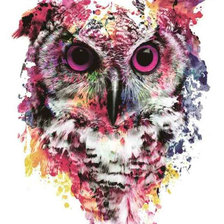 Сова арт