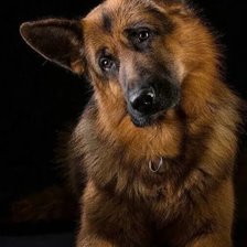 Схема вышивки «№2307828»