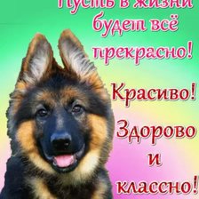 Схема вышивки «№2307847»