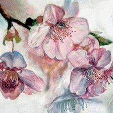 Схема вышивки «цветы»