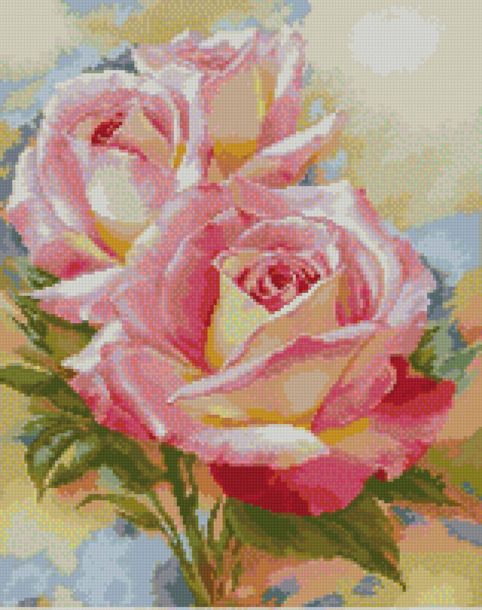 розовые розы - розовые. акварель, розы - предпросмотр