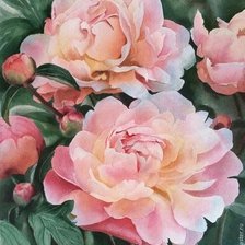 Схема вышивки «Пионы»