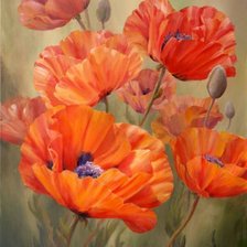 Схема вышивки «Маки»