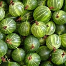 Схема вышивки «крыжовник»