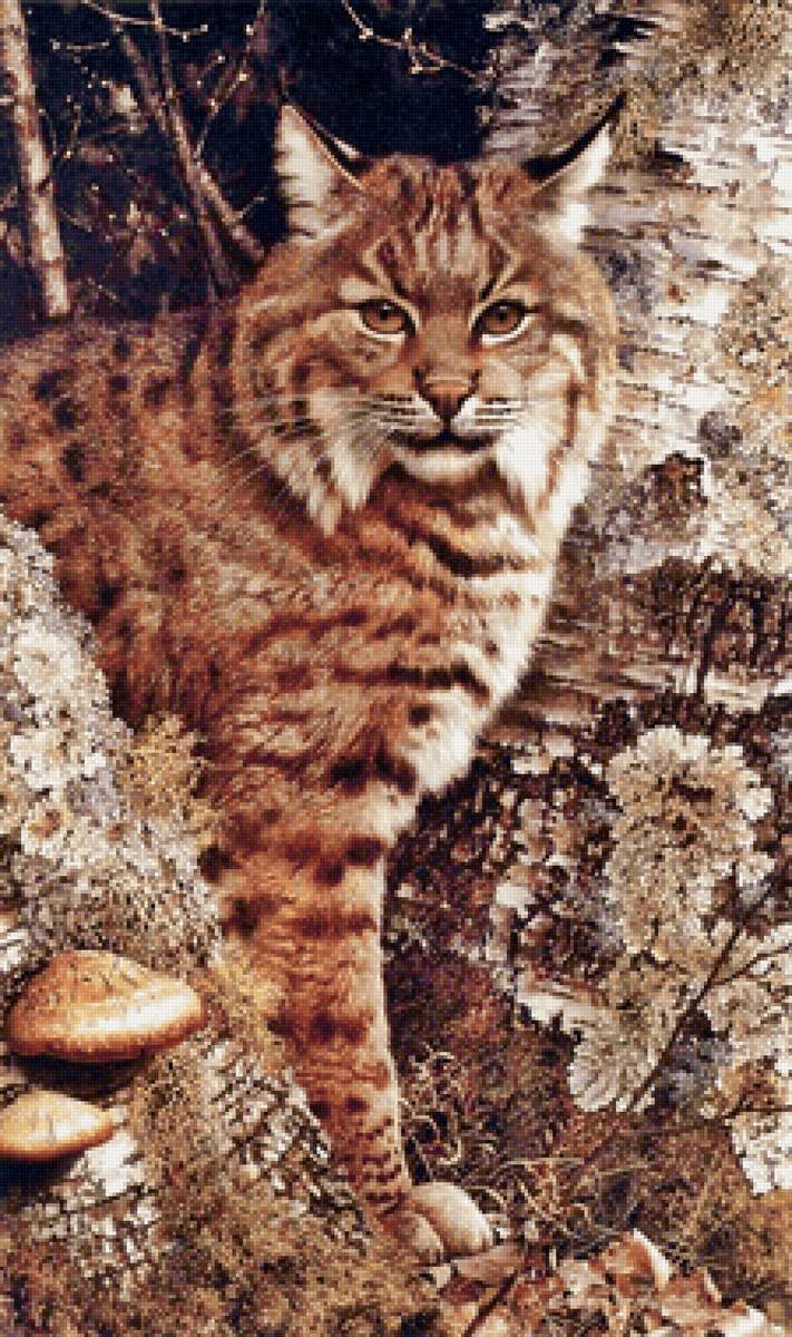 Lince. - animais. - предпросмотр