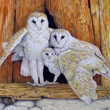 Схема вышивки «Совиная семья.»