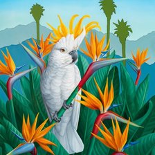 Схема вышивки «Pássaro.»